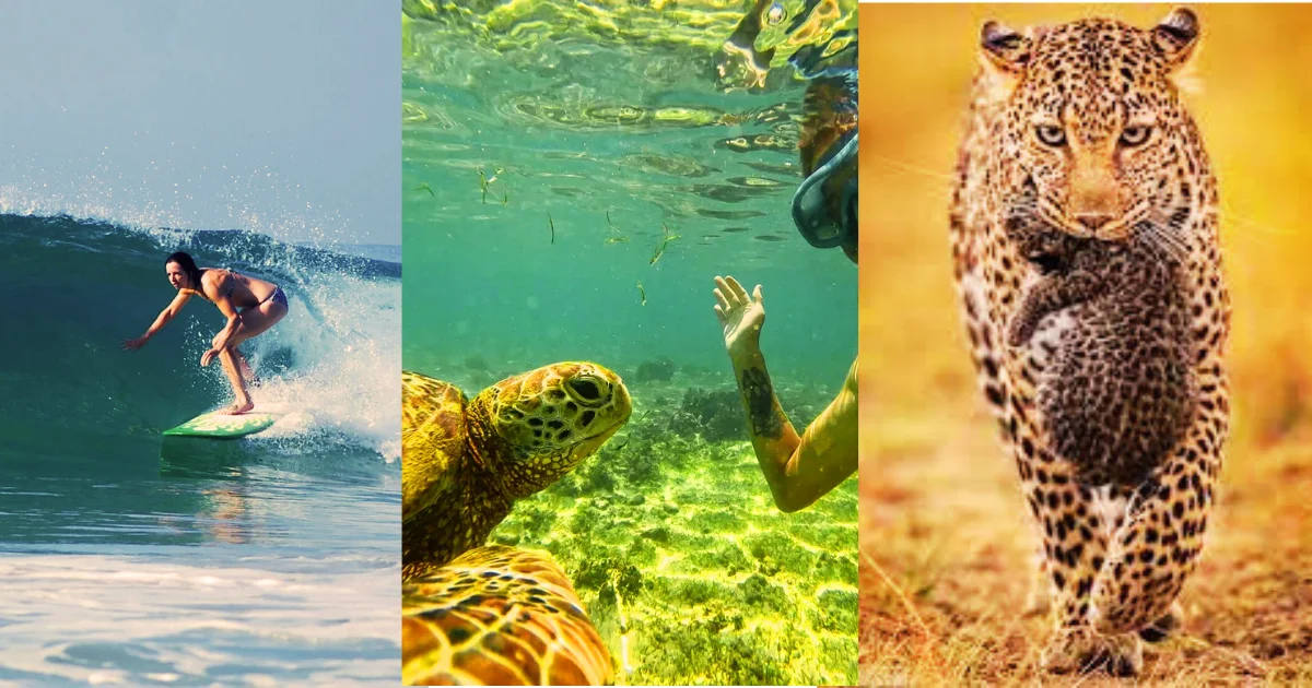 🏝️ The Best Time to Visit Sri Lanka – A Month-by-Month Guide 🌺